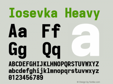 Iosevka Heavy 3.0.0-rc.7 Font Sample