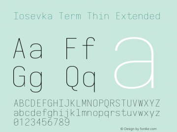 Iosevka Term Thin Extended 3.0.0-rc.7图片样张