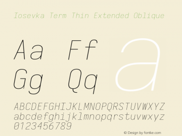 Iosevka Term Thin Extended Oblique 3.0.0-rc.7图片样张