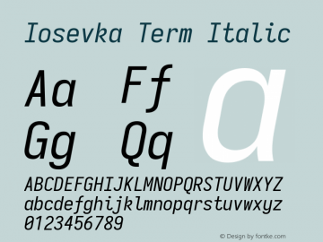 Iosevka Term Italic 3.0.0-rc.7图片样张