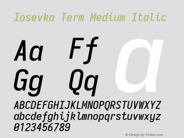 Iosevka Term Medium Italic 3.0.0-rc.7图片样张