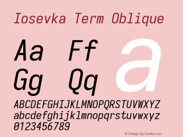 Iosevka Term Oblique 3.0.0-rc.7图片样张