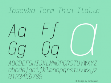 Iosevka Term Thin Italic 3.0.0-rc.7图片样张