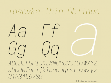 Iosevka Thin Oblique 3.0.0-rc.7 Font Sample