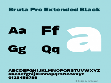 Bruta Pro Extended Black Version 1.030;PS 001.030;hotconv 1.0.88;makeotf.lib2.5.64775 Font Sample