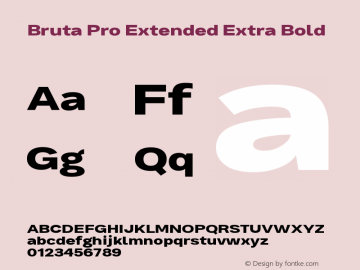 Bruta Pro Extended Extra Bold Version 1.030;PS 001.030;hotconv 1.0.88;makeotf.lib2.5.64775 Font Sample