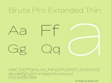 Bruta Pro Extended Thin Version 1.030;PS 001.030;hotconv 1.0.88;makeotf.lib2.5.64775图片样张