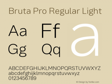 Bruta Pro Regular Light Version 1.030;PS 001.030;hotconv 1.0.88;makeotf.lib2.5.64775 Font Sample