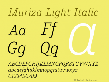 Muriza Light Italic Version 3.001图片样张
