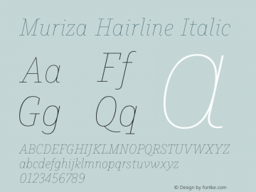Muriza Hairline Italic Version 3.001图片样张