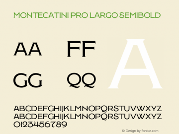 MontecatiniPro-LargoSemiBold Version 1.020;PS 001.020;hotconv 1.0.88;makeotf.lib2.5.64775图片样张