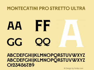 MontecatiniPro-StrettoUltra Version 1.020;PS 001.020;hotconv 1.0.88;makeotf.lib2.5.64775图片样张