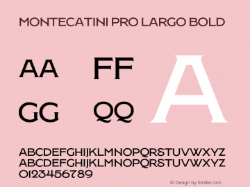MontecatiniPro-LargoBold Version 1.020;PS 001.020;hotconv 1.0.88;makeotf.lib2.5.64775图片样张