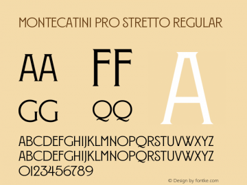 MontecatiniPro-Stretto Version 1.020;PS 001.020;hotconv 1.0.88;makeotf.lib2.5.64775图片样张