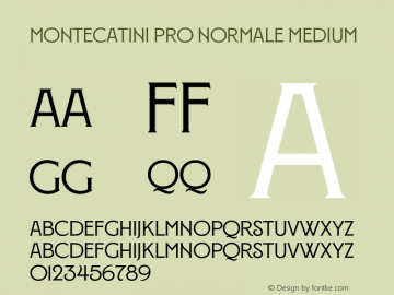 MontecatiniPro-NormaleMedium Version 1.020;PS 001.020;hotconv 1.0.88;makeotf.lib2.5.64775图片样张
