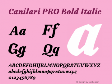 Canilari PRO Bold Italic Version 1.005;PS 001.005;hotconv 1.0.88;makeotf.lib2.5.64775图片样张