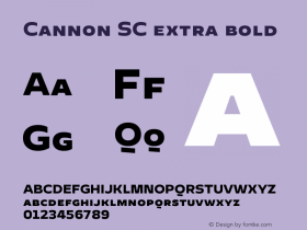 Cannon SC extra bold Version 1.000;PS 001.000;hotconv 1.0.88;makeotf.lib2.5.64775图片样张