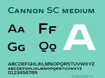 Cannon SC medium Version 1.000;PS 001.000;hotconv 1.0.88;makeotf.lib2.5.64775 Font Sample