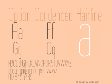 Option Condenced Hairline Version 1.000 | wf-rip DC20190105 Font Sample