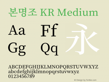 본명조 KR Medium 图片样张