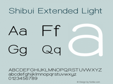 ShibuiExtended-Light Version 1.000;PS 001.001;hotconv 1.0.56;com.myfonts.easy.artisticandunique.shibui.light-extended.wfkit2.version.5uTD图片样张