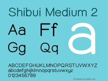 Shibui-Medium2 Version 1.000;PS 001.001;hotconv 1.0.56;com.myfonts.easy.artisticandunique.shibui.medium.wfkit2.version.5uTw Font Sample