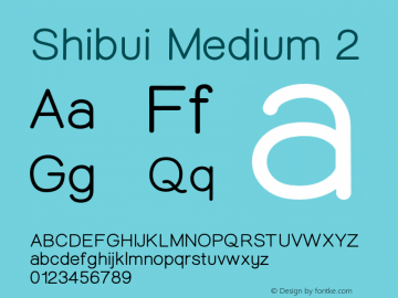 Shibui-Medium2 Version 1.000;PS 001.001;hotconv 1.0.56;com.myfonts.easy.artisticandunique.shibui.medium.wfkit2.version.5uTw图片样张