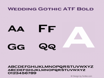 Wedding Gothic ATF Bold Version 1.001;PS 001.001;hotconv 1.0.78;makeotf.lib2.5.61930图片样张