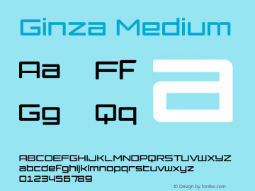 Ginza-Medium Version 1.000 2008 initial release图片样张