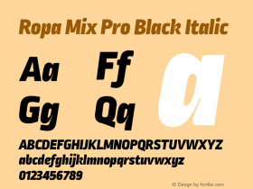 RopaMixPro-BlackItalic Version 1.001; build 0005图片样张