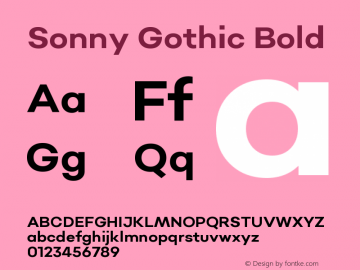 Sonny Gothic Bold Version 1.000;PS 001.000;hotconv 1.0.88;makeotf.lib2.5.64775 Font Sample