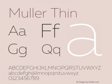 Muller-Thin Version 1.0;com.myfonts.easy.font-fabric.muller.thin.wfkit2.version.4ntZ Font Sample