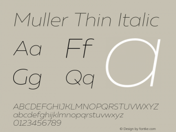 Muller-ThinItalic Version 1.0;com.myfonts.easy.font-fabric.muller.thin-italic.wfkit2.version.4nu5 Font Sample