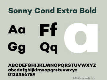 Sonny Cond Extra Bold Version 1.000;PS 001.000;hotconv 1.0.88;makeotf.lib2.5.64775图片样张