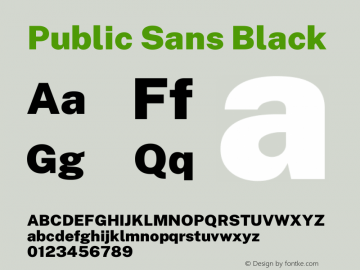 Public Sans Black Version 1.007 Font Sample