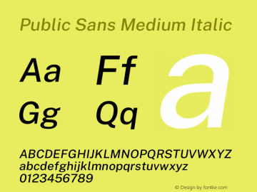 Public Sans Medium Italic Version 1.007 Font Sample