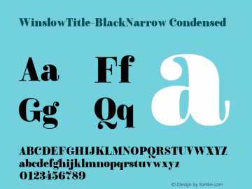 Winslow Title Black Narrow Version 1.000;hotconv 1.0.109;makeotfexe 2.5.65596;com.myfonts.easy.kimmy.winslow-title.black-narrow.wfkit2.version.5wrD图片样张