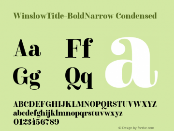 Winslow Title Bold Narrow Version 1.000;hotconv 1.0.109;makeotfexe 2.5.65596;com.myfonts.easy.kimmy.winslow-title.bold-narrow.wfkit2.version.5wrB图片样张