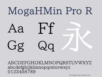MogaHMin Pro R Version 1.00图片样张