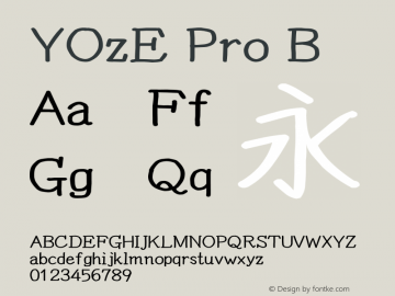 YOzE Pro B Version 15.00图片样张