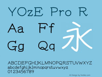 YOzE Pro R Version 15.01图片样张