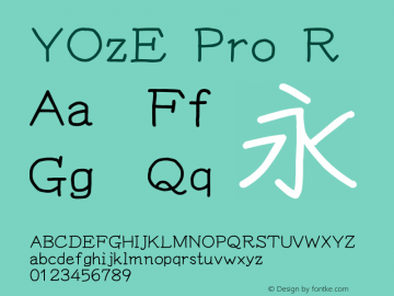 YOzE Pro R Version 15.00图片样张