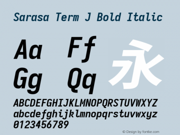 Sarasa Term J Bold Italic 图片样张