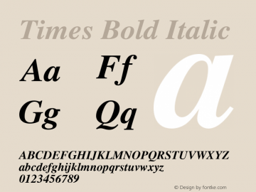 Times Bold Italic Version 2.03 Font Sample