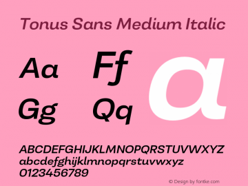 TonusSans-MediumItalic 1.000图片样张