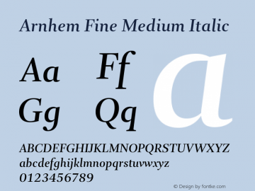 ArnhemFine-MediumItalic Version 1.003; build 0001 Font Sample