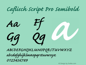 CaflischScriptPro-Semibold Version 2.114;PS 2.000;hotconv 1.0.70;makeotf.lib2.5.58329图片样张