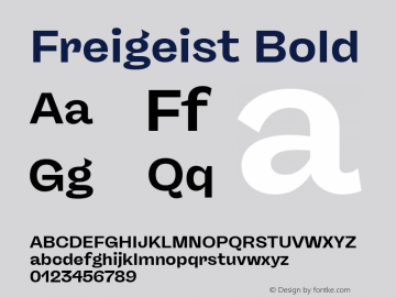 Freigeist Bold Version 1.000;hotconv 1.0.109;makeotfexe 2.5.65596 Font Sample