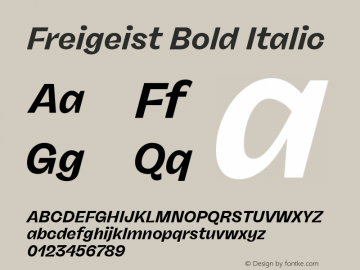 Freigeist Bold Italic Version 1.000;hotconv 1.0.109;makeotfexe 2.5.65596 Font Sample