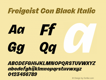 Freigeist Con Black Italic Version 1.000;hotconv 1.0.109;makeotfexe 2.5.65596 Font Sample